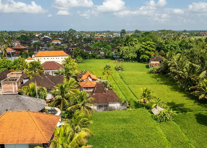 Vista * Ubud (Bali)